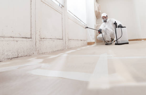 24/7 Emergency Mold Remediation experts in Oxford, NC
