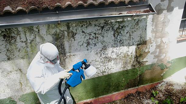 Top rated local Mold Remediation specialists in Oxford, NC
